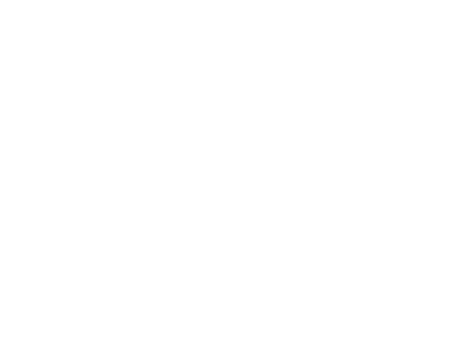 Lotus and Soul Studio